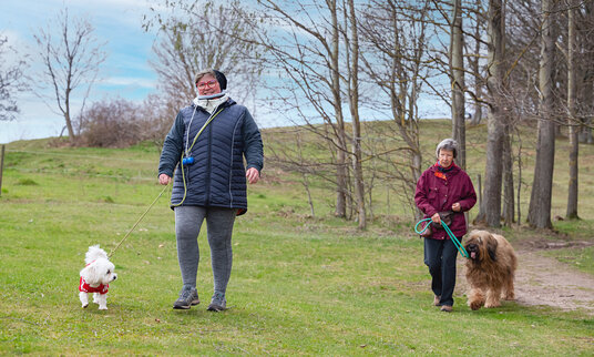Reha mit Hund